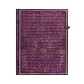 250 ANIVERSARIO DEL NACIMIENTO DE BEETHOVEN 250 ANIVERSARIO DEL NACIMIENTO DE BEETHOVEN