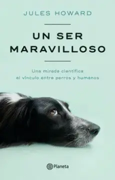UN SER MARAVILLOSO UN SER MARAVILLOSO