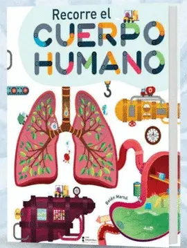 RECORRE EL CUERPO HUMANO