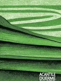 ACANTILE DUERME PILOTO